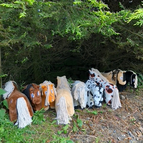 Crafty Ponies Find Shelter