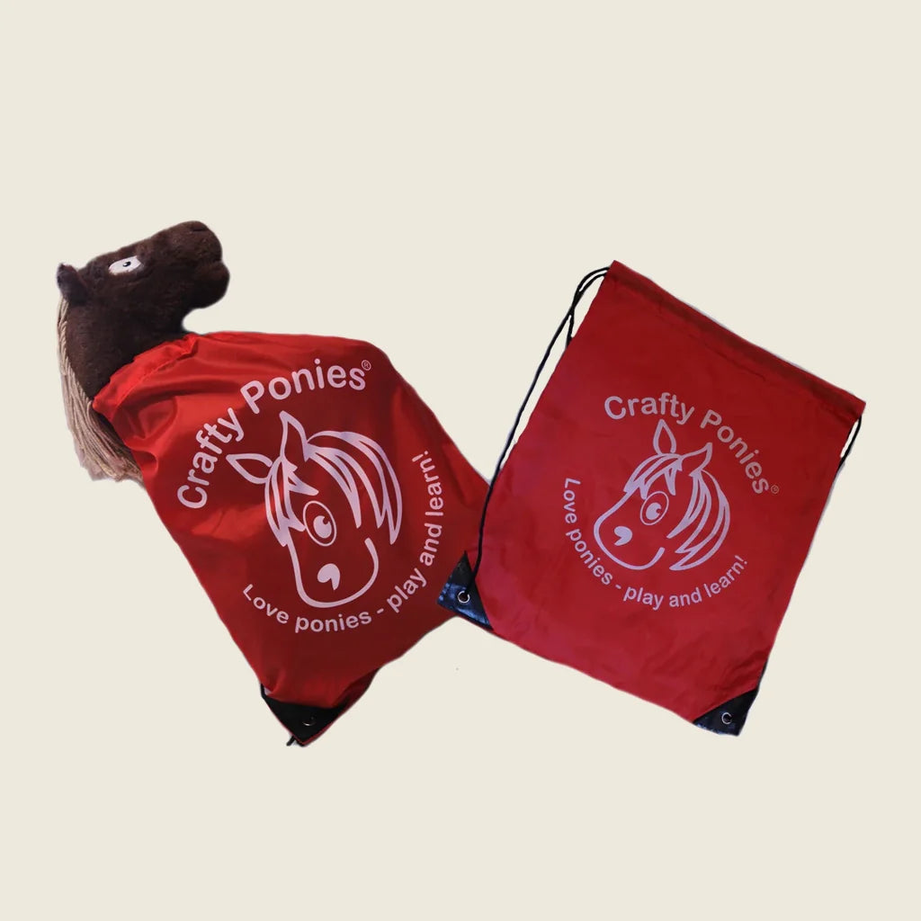 Drawstring Bag