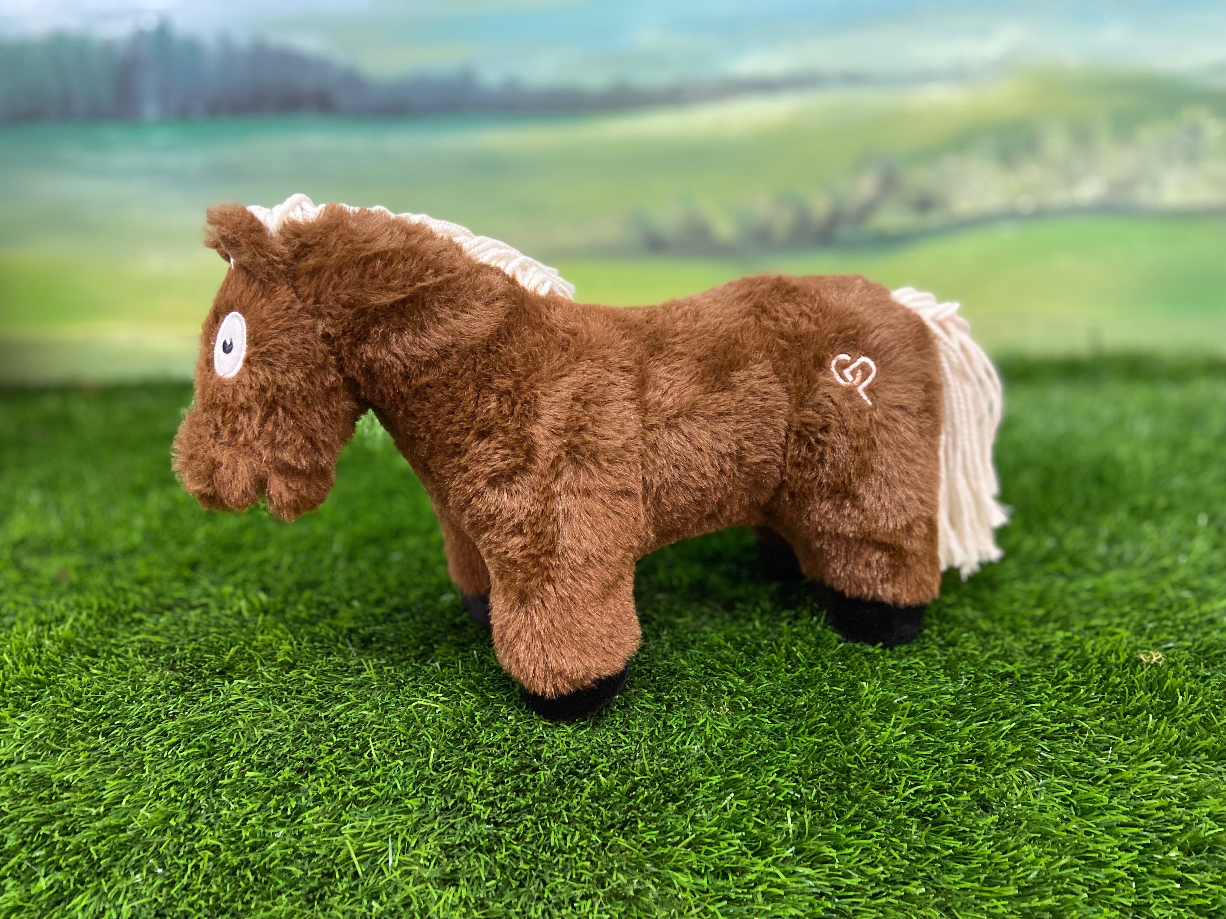 Brown foal