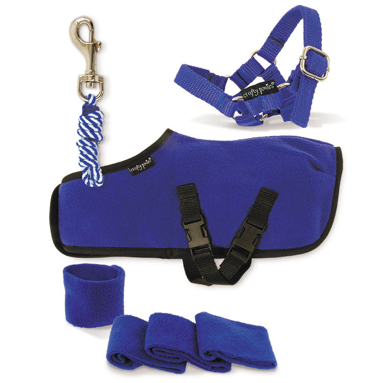 Crafty Pony Rug Starter Set