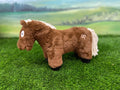 Brown foal