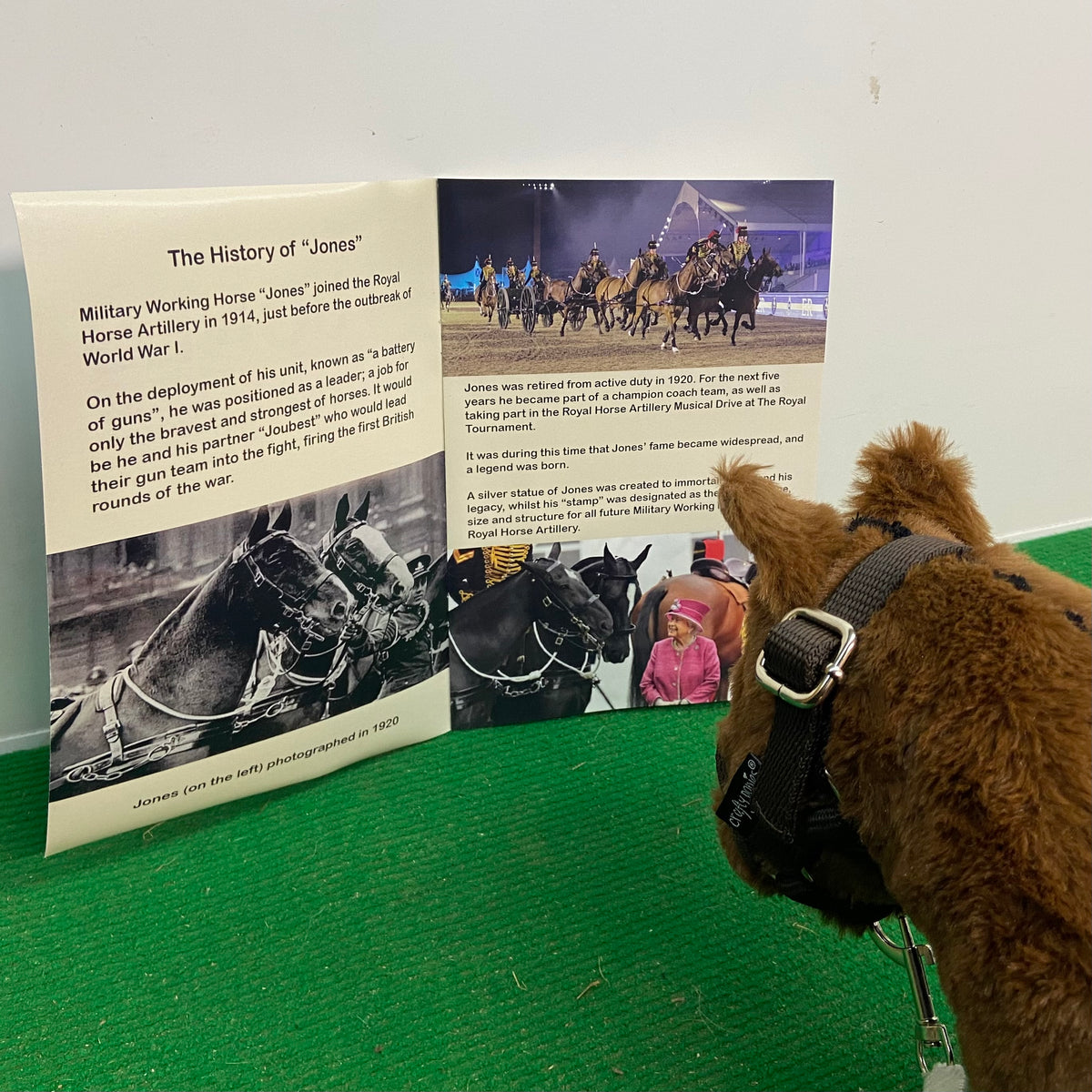 Military Jones Pony