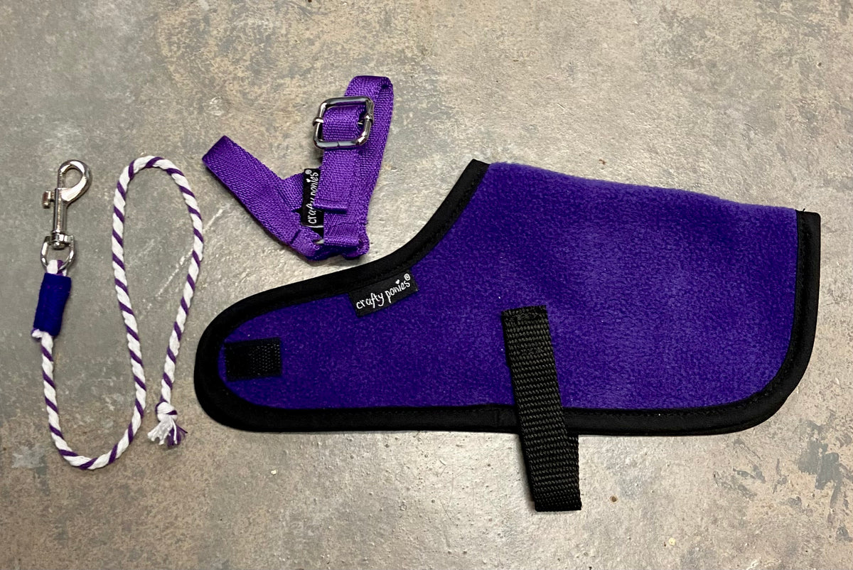 Foal rug set