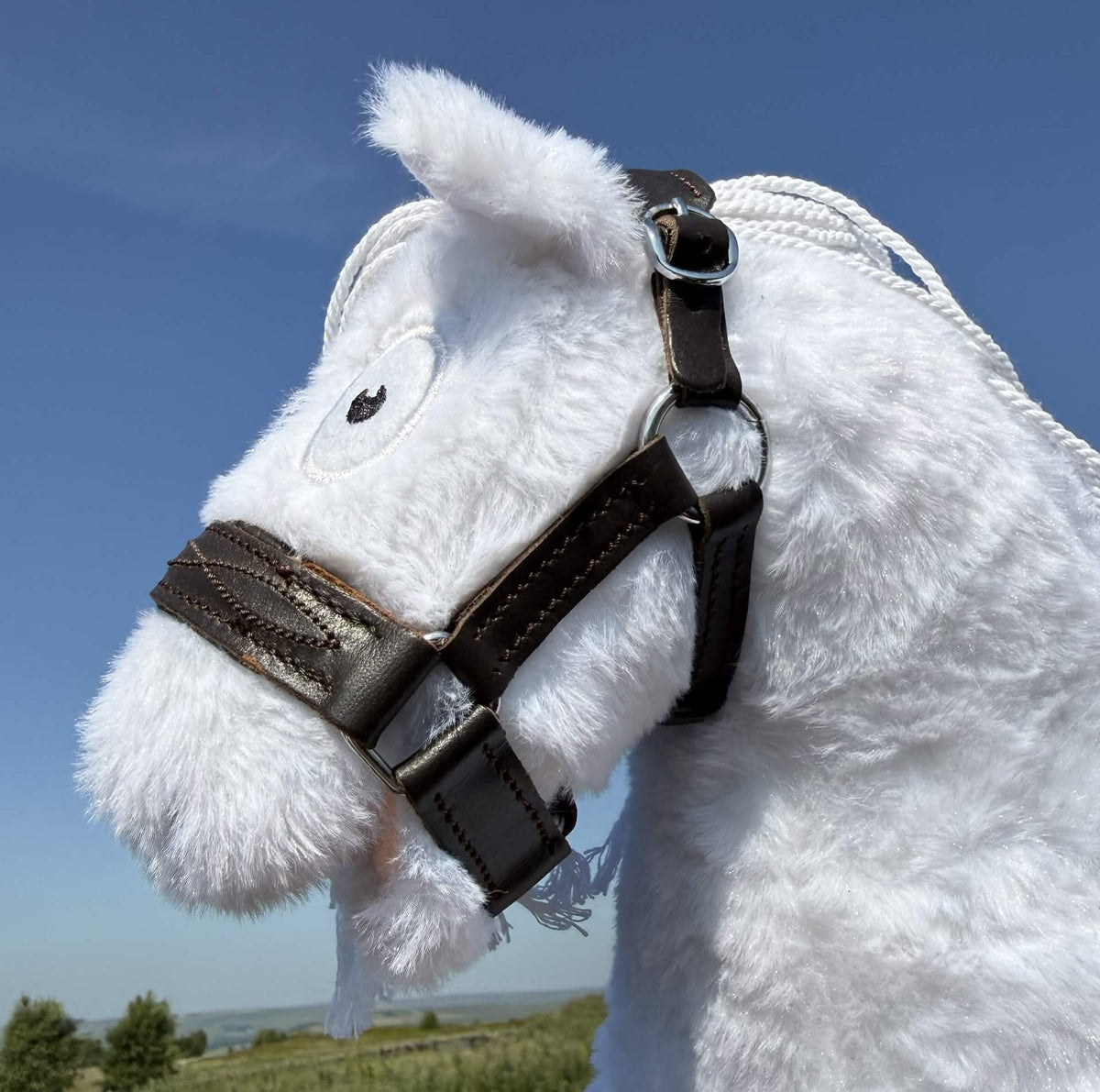 Leather headcollar