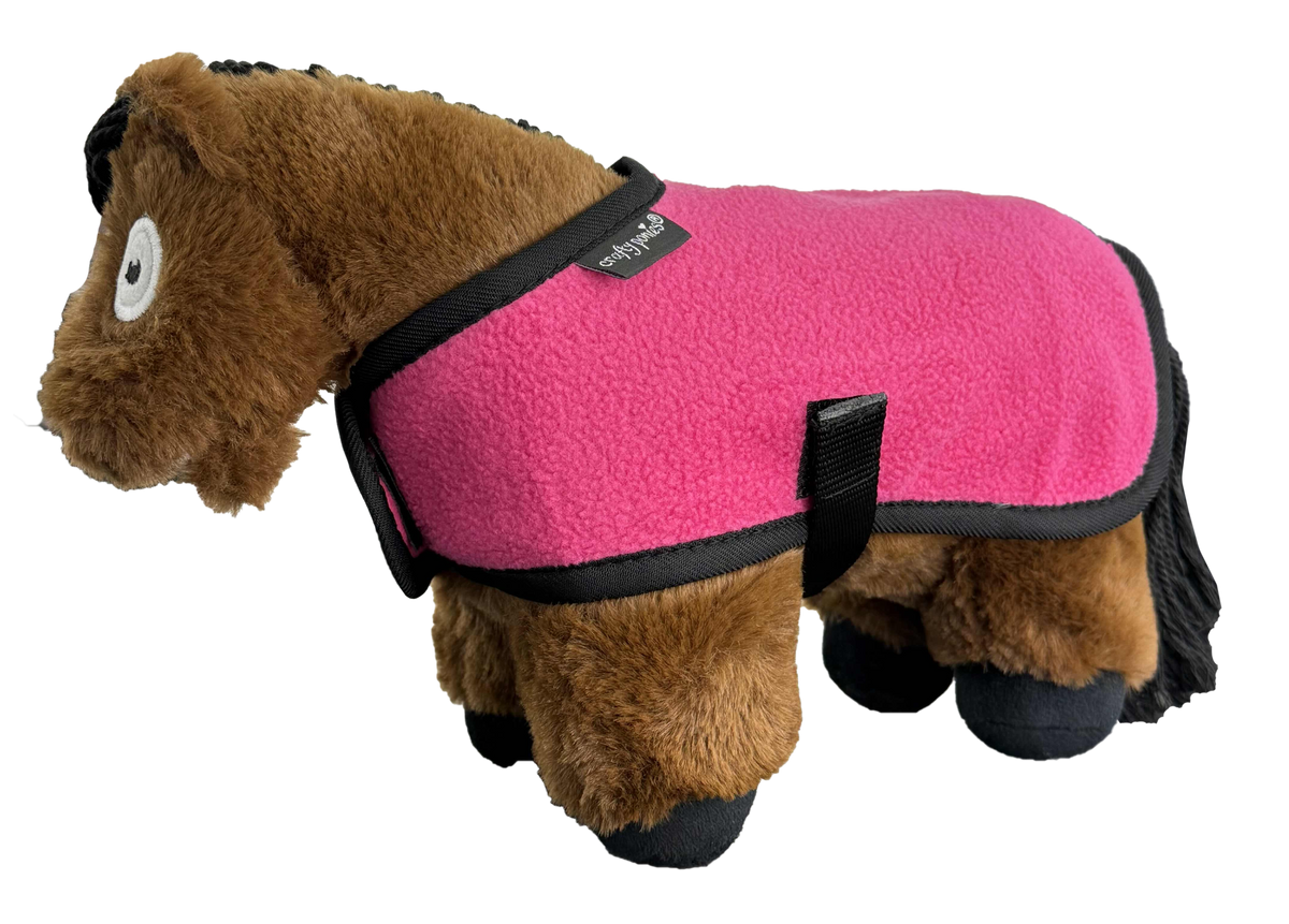 Foal rug