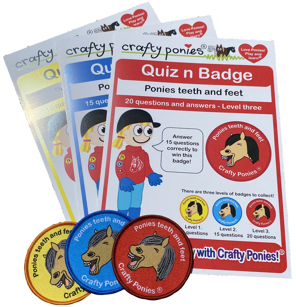 Quiz Booklets and Badges