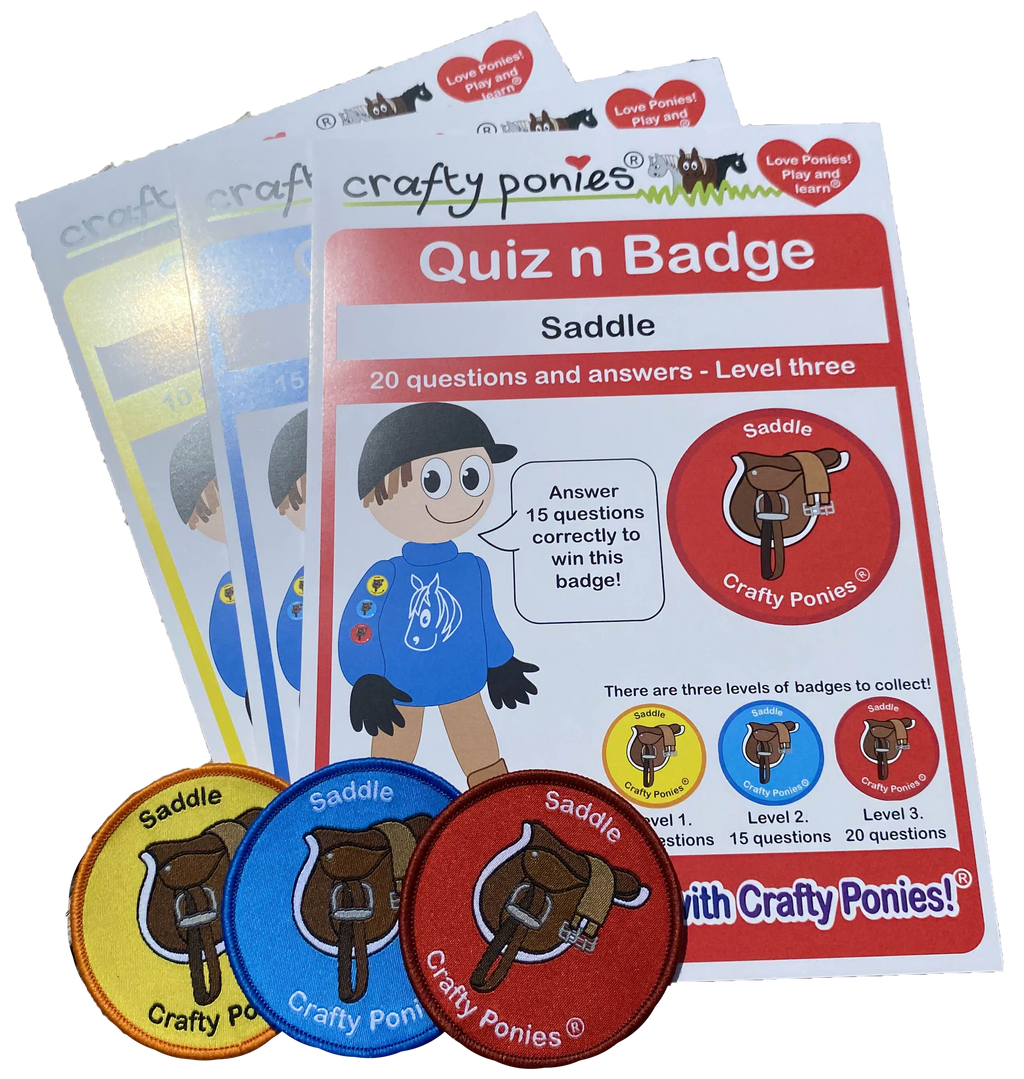 Quiz Booklets and Badges