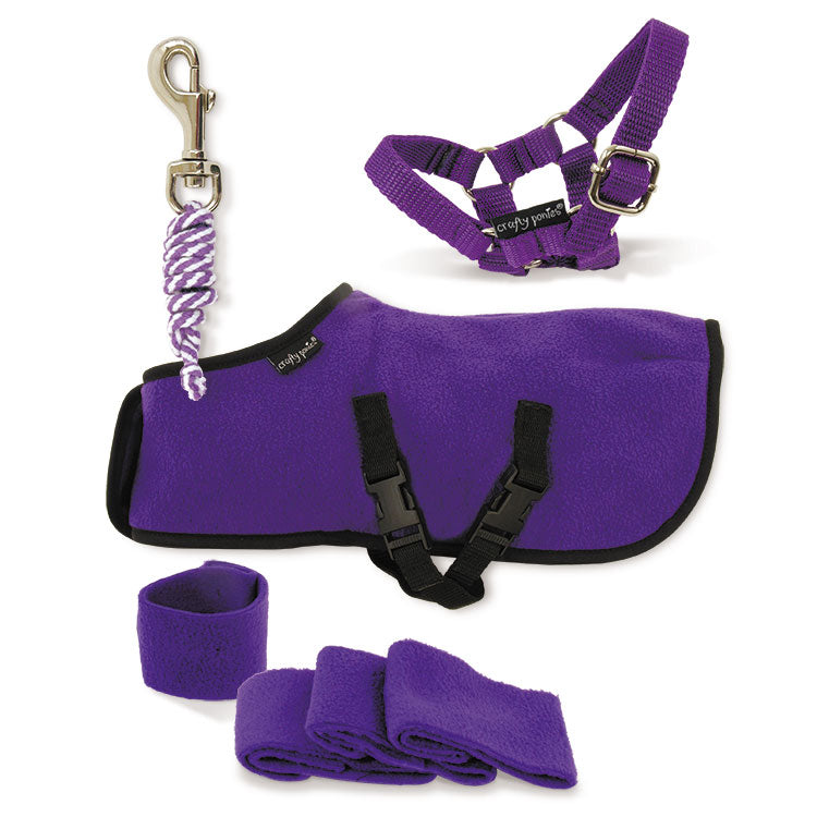 Crafty Pony Rug Starter Set