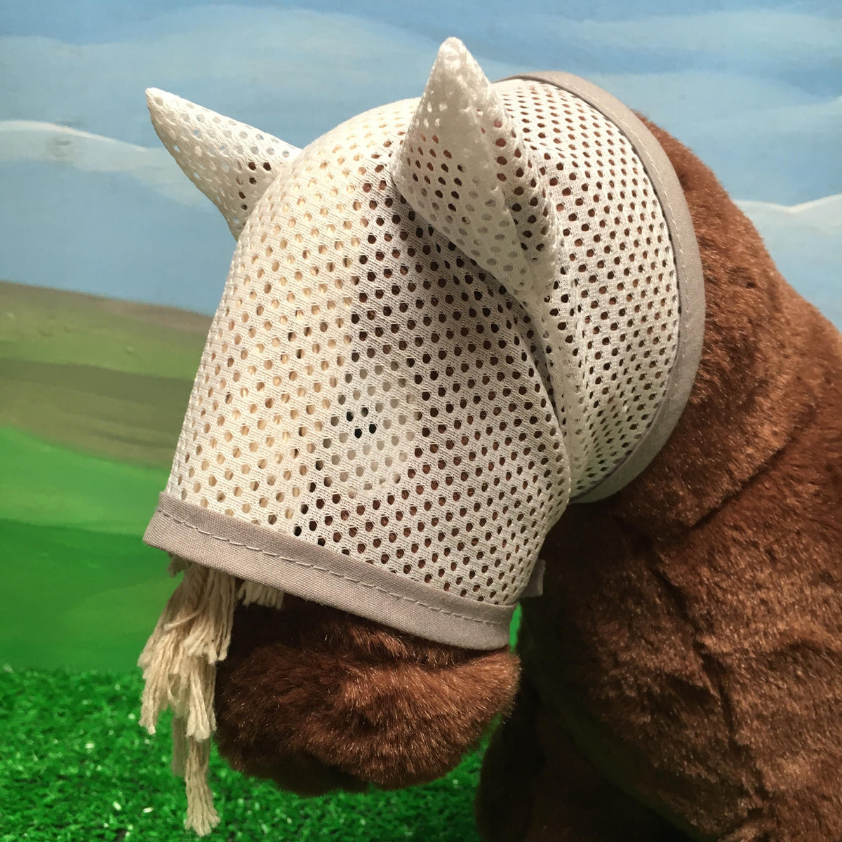 Fly Sheet and Mask